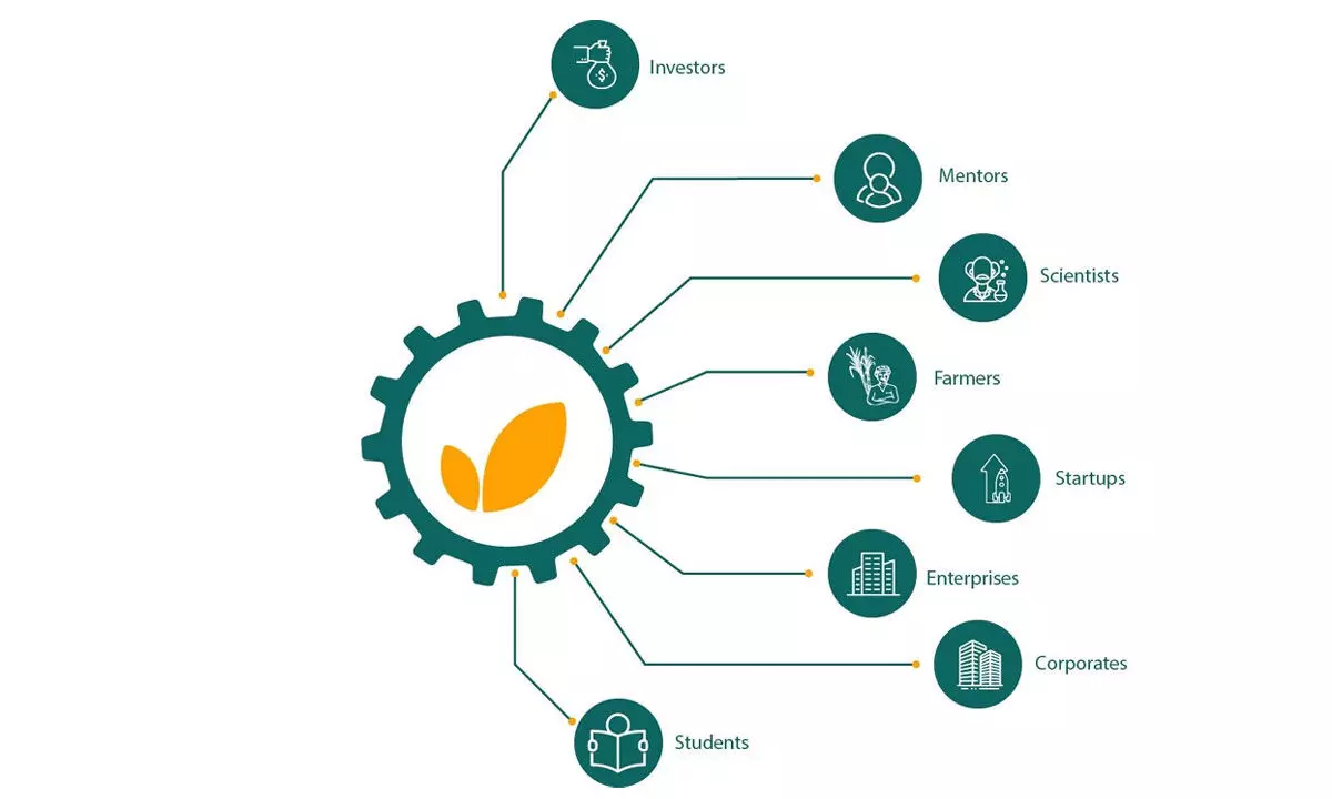 First of its kind AgHub model in TS: The Agri Innovation Hub in Telangana