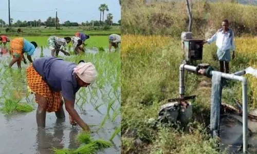 Farmers grow restive over long power cuts