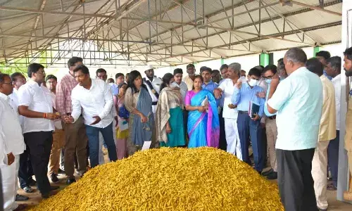 Turmeric ryots hit hard by forward trading