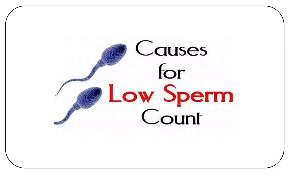One of the major cause for low sperm count, is smoking or consumption of alcohol.