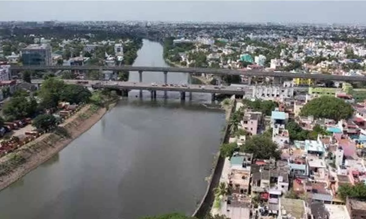 Cooum in Chennai most polluted river in the country: CPCB