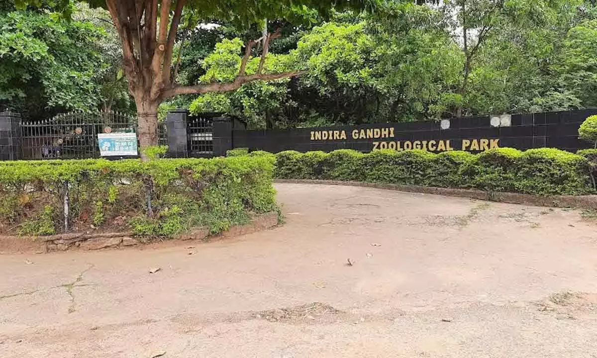 A view of Indira Gandhi Zoological Park in Visakhapatnam