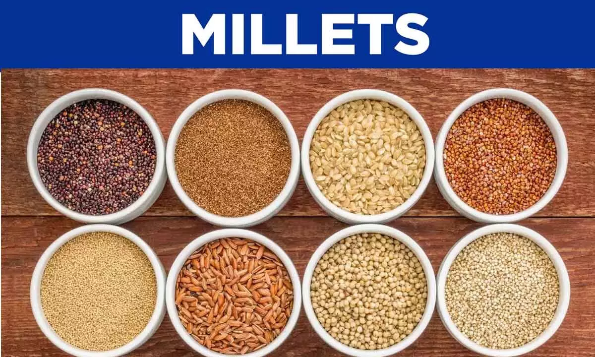 AP produced 2,150 tonne millets in past five years