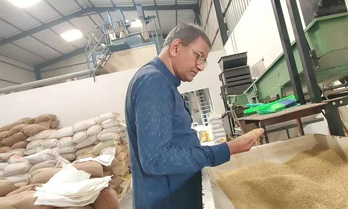 K V Rama Subba Reddy in his millet plant