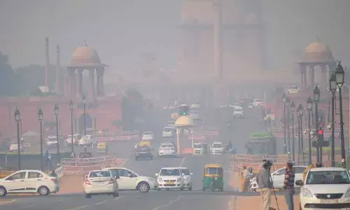 Greenpeace demands revision of national air quality standards