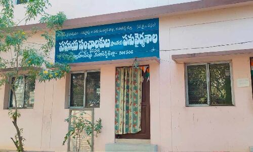 Lack of government vet personnel, exclusive vet medical professionals in Rangareddy