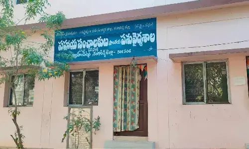 Lack of government veterinary staff, private veterinary doctors in Rangareddy