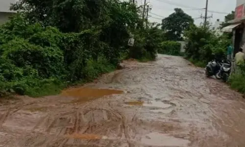 BDA to provide basic infra to developed layouts