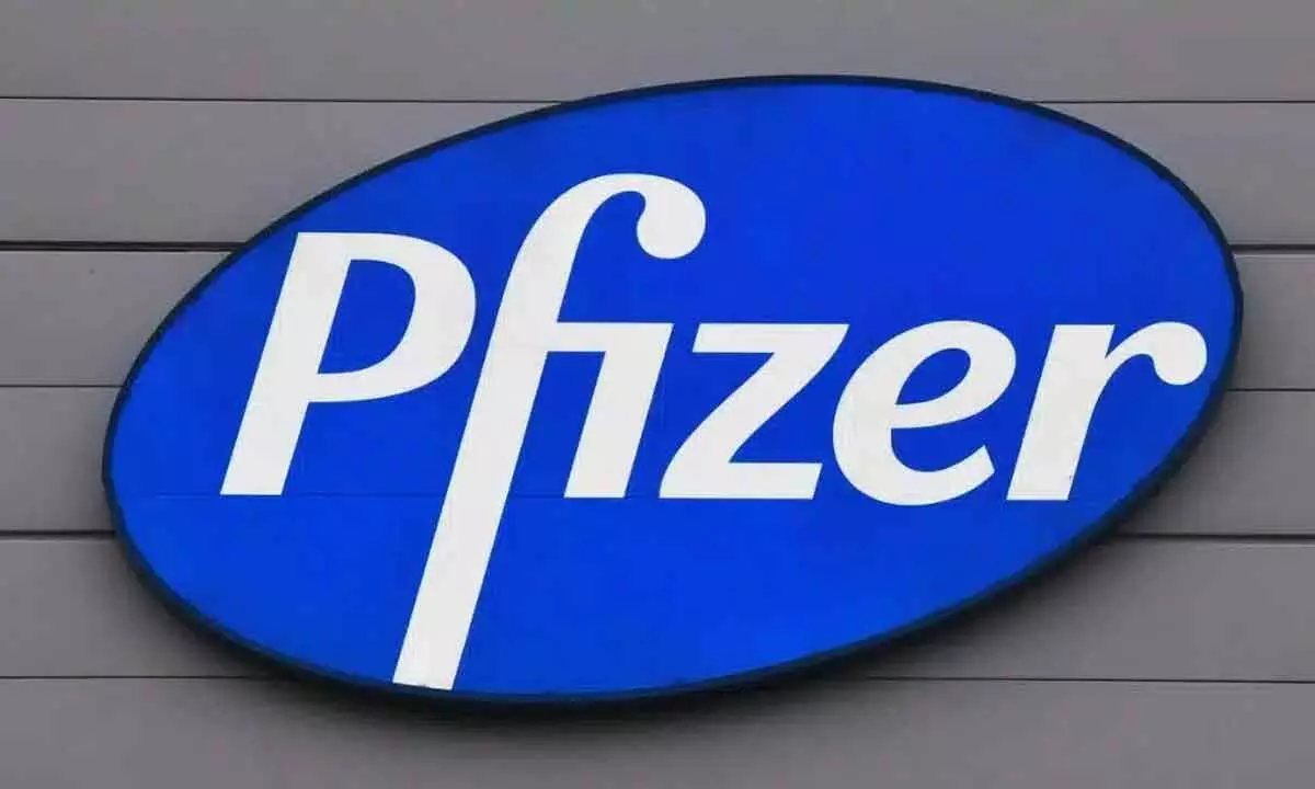 Patent infringement: HC directs firm to pay Rs 2 cr damages to Pfizer