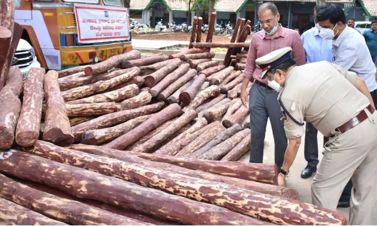 20,000 tonnes of red sanders were smuggled out of India from 2016 to 2020