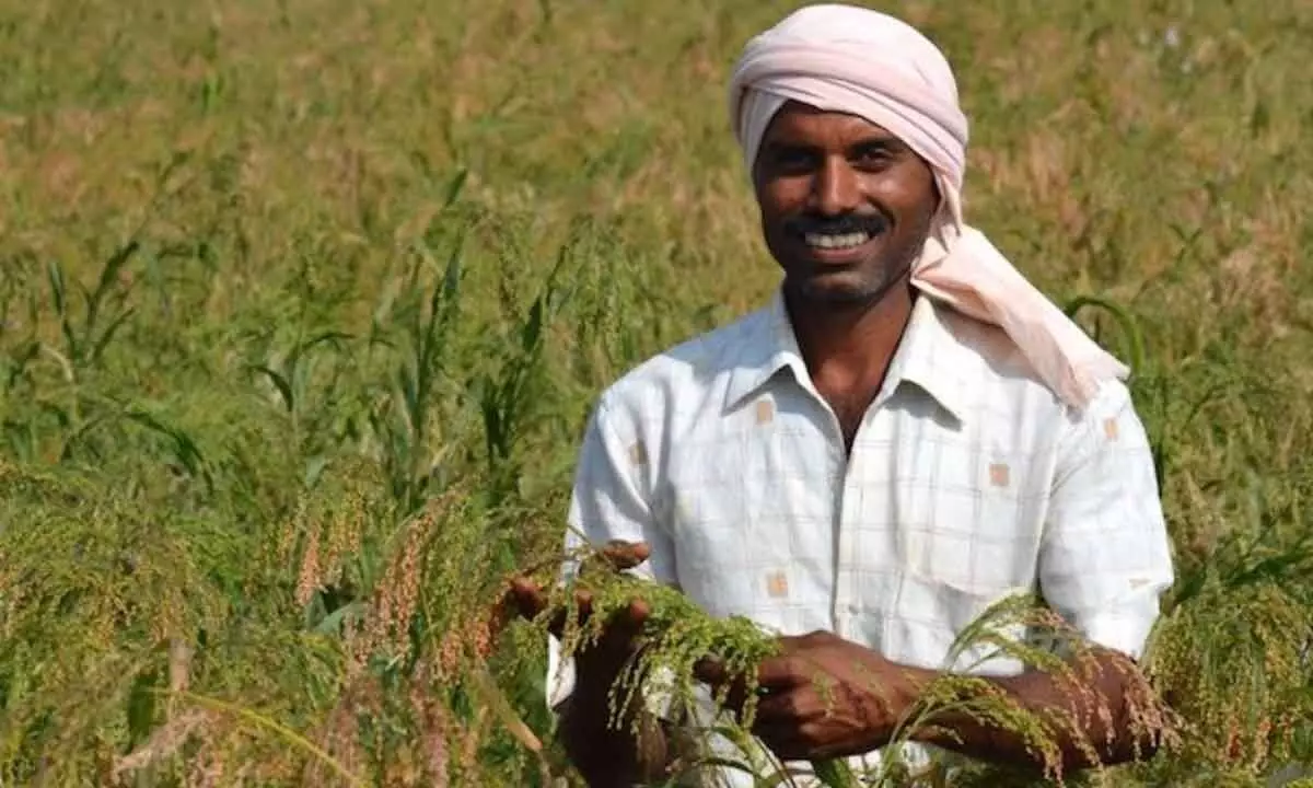 Millets, the miracle grains