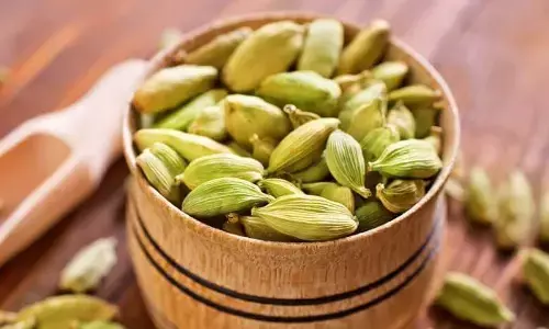 Healthy ingredients for fitness enthusiasts