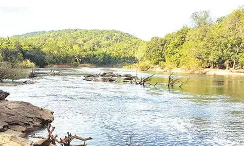 BJP-RSS playing with sentiments of Goa, Ktaka on Mhadei issue, flays Congress