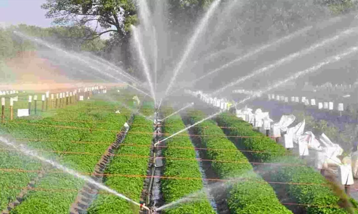 Telangana government to pump more funds into irrigation sector