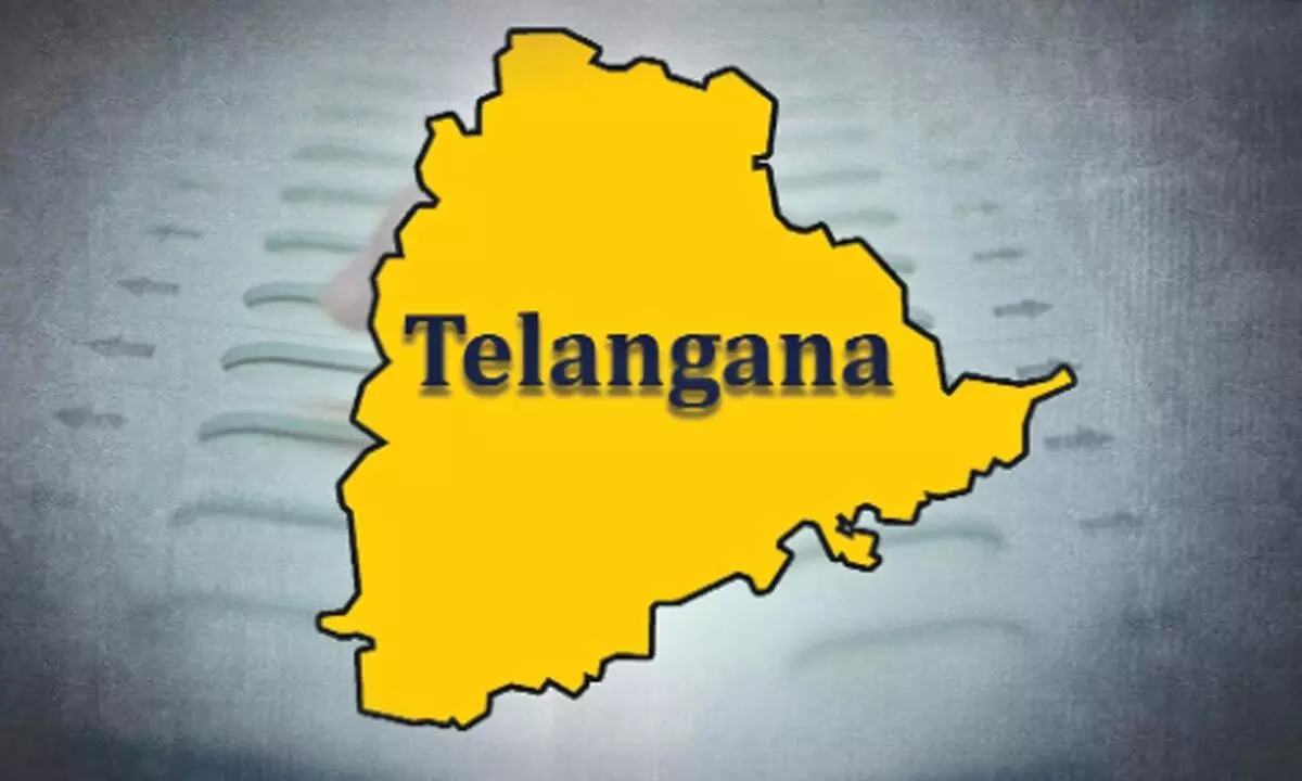 Telangana per capita income rises to Rs 3,17,115