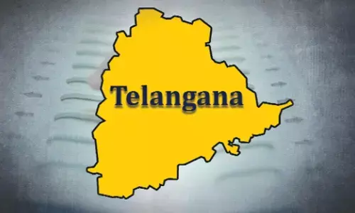 Telangana per capita income rises to Rs 3,17,115