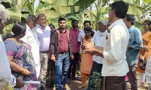 McCain Foods director Yuves Noel Leclerc and his team members observing natural farming system in Nutakki village on Tuesday