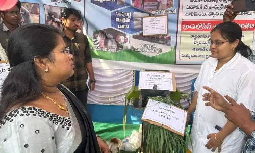 Narsipatnam Municipality chairperson G Adilakshmi and others visiting the photo exhibition organised in Narsipatnam of Anakapalli district on Tuesday