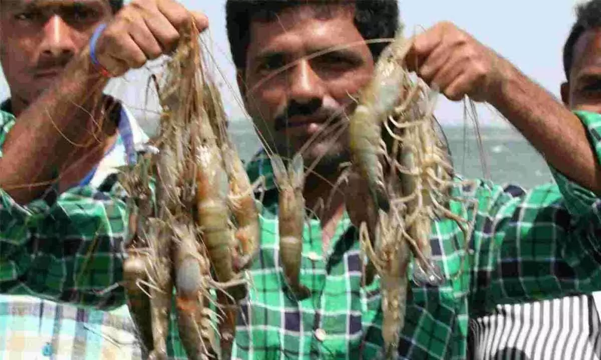 Food for thought: Telangana emerges as top producer of meat, fish