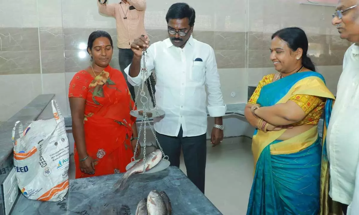 Minister for Transport Puvvada Ajay Kumar inspecting fish section at the integrated market in Khammam on Thursday