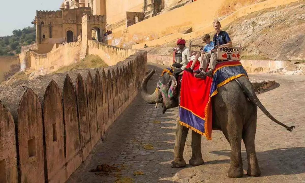PETA writes to Rajasthan CM to rehabilitate 2 Amber Fort elephants