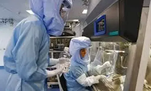 The making of a universal flu vax