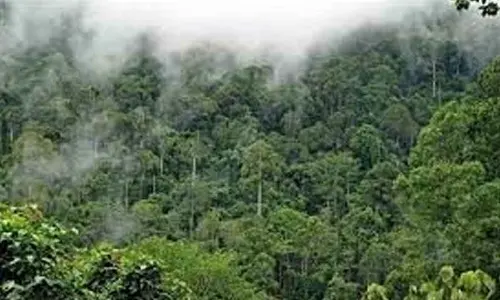 Overlooking the ordinary will cost dearly