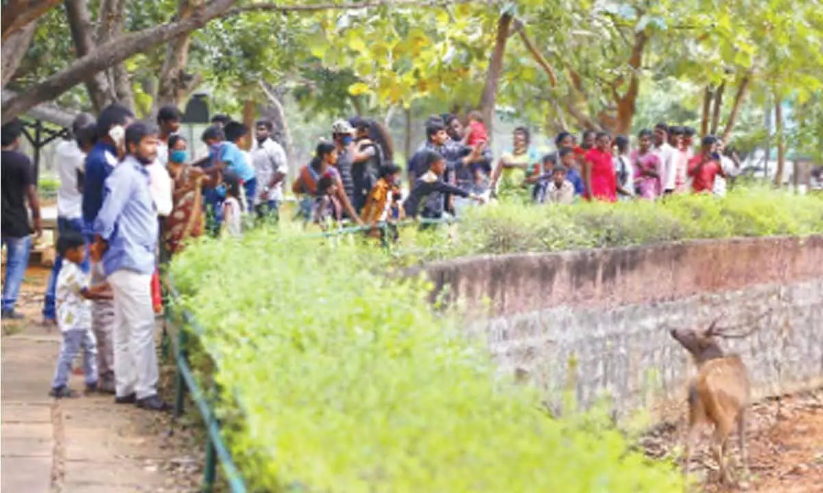 People visiting Sri Venkateswara Zoological Park in Tirupati (file picture)