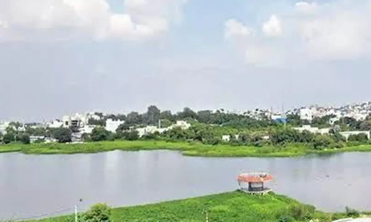 Ponds face scare of land sharks in Rangareddy