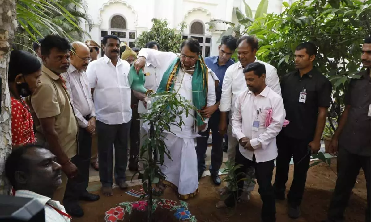 Speaker Pocharam Srinivas Reddy plants saplings on his birthday urges people to raise trees