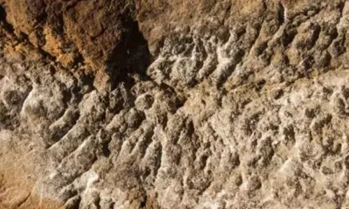 The Archaeological Survey of India (ASI) is in charge of protecting these inscriptions