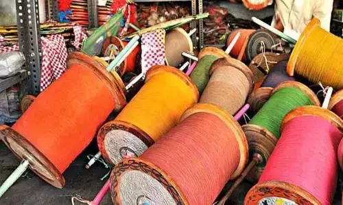 Delhi HC seeks police report on sale, supply of banned Chinese manjha