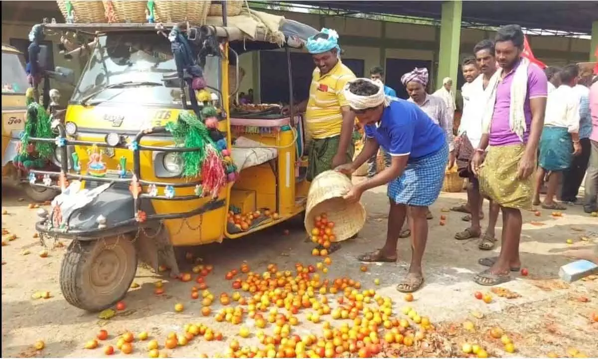 Farmers throwing tomatoes on the road at Pathikonda Agriculture Market Yard (file photos)