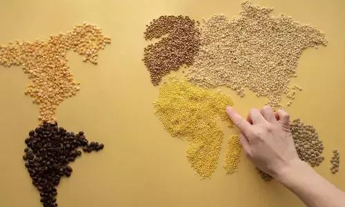 Millet: The old food revolution to our new life