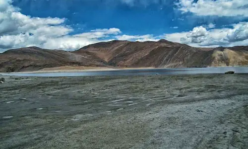 Seventy-five selected athletes from India and abroad are participating in the run.