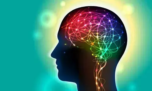 Active compound from mushroom boosts memory