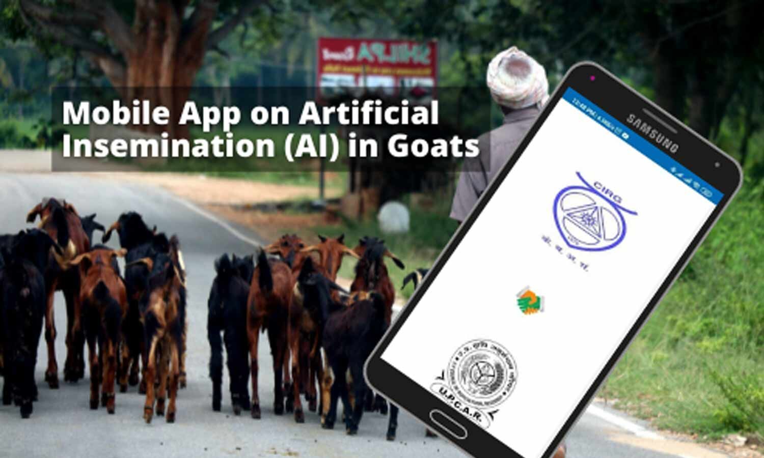 ICARCIRG develops new artificial insemination technique for goats