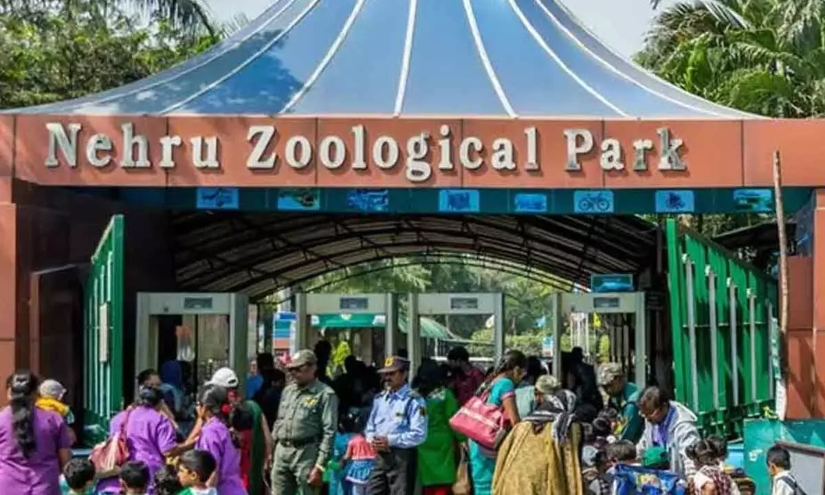 Hyderabad Zoo gets website, mobile app for online ticketing