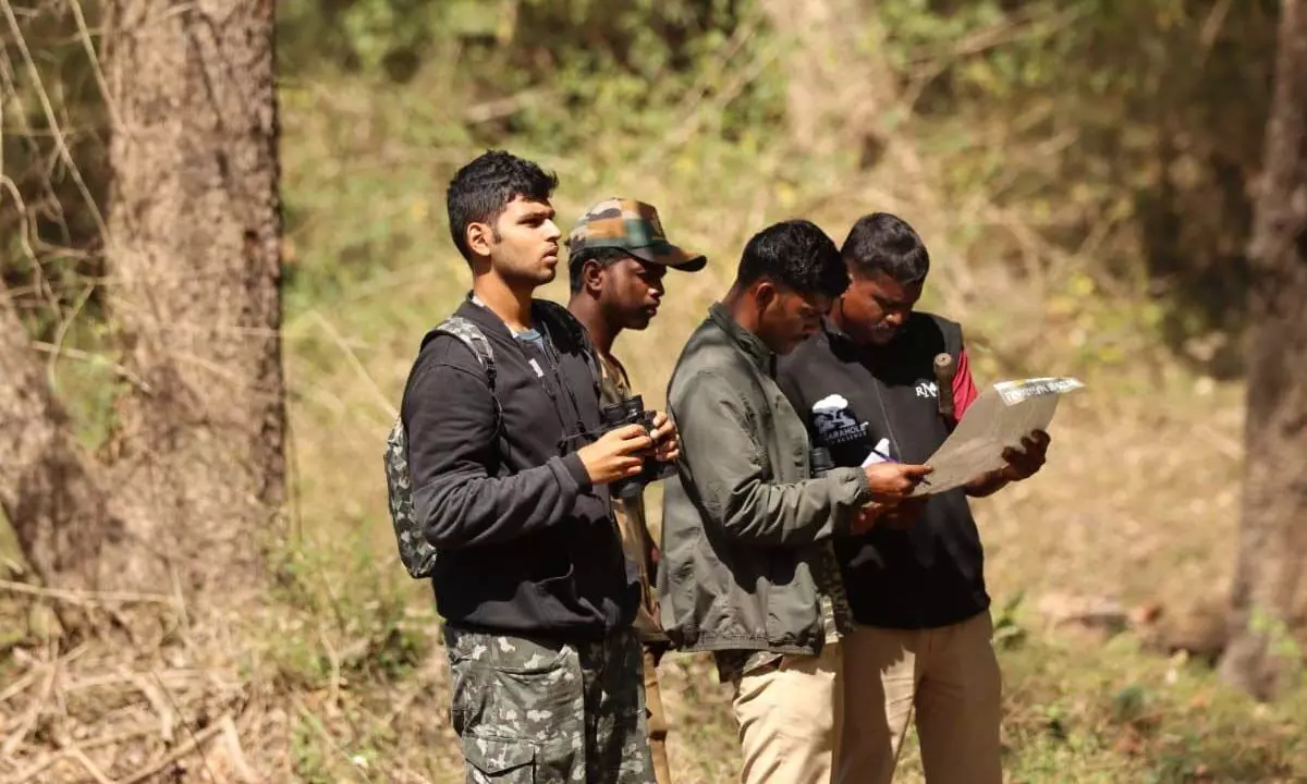 Bird census at Nagarhole: 290 species recorded