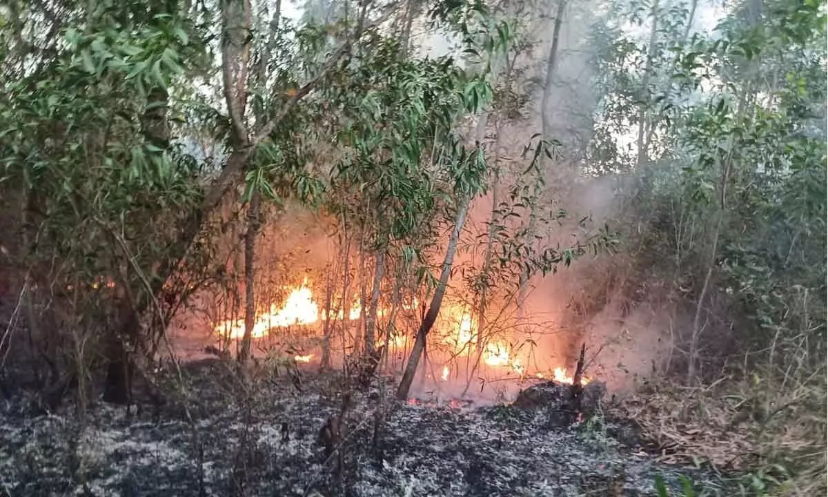 Fire breaks out in Nallakonda forest near Ayyannapalem in Anakapalli