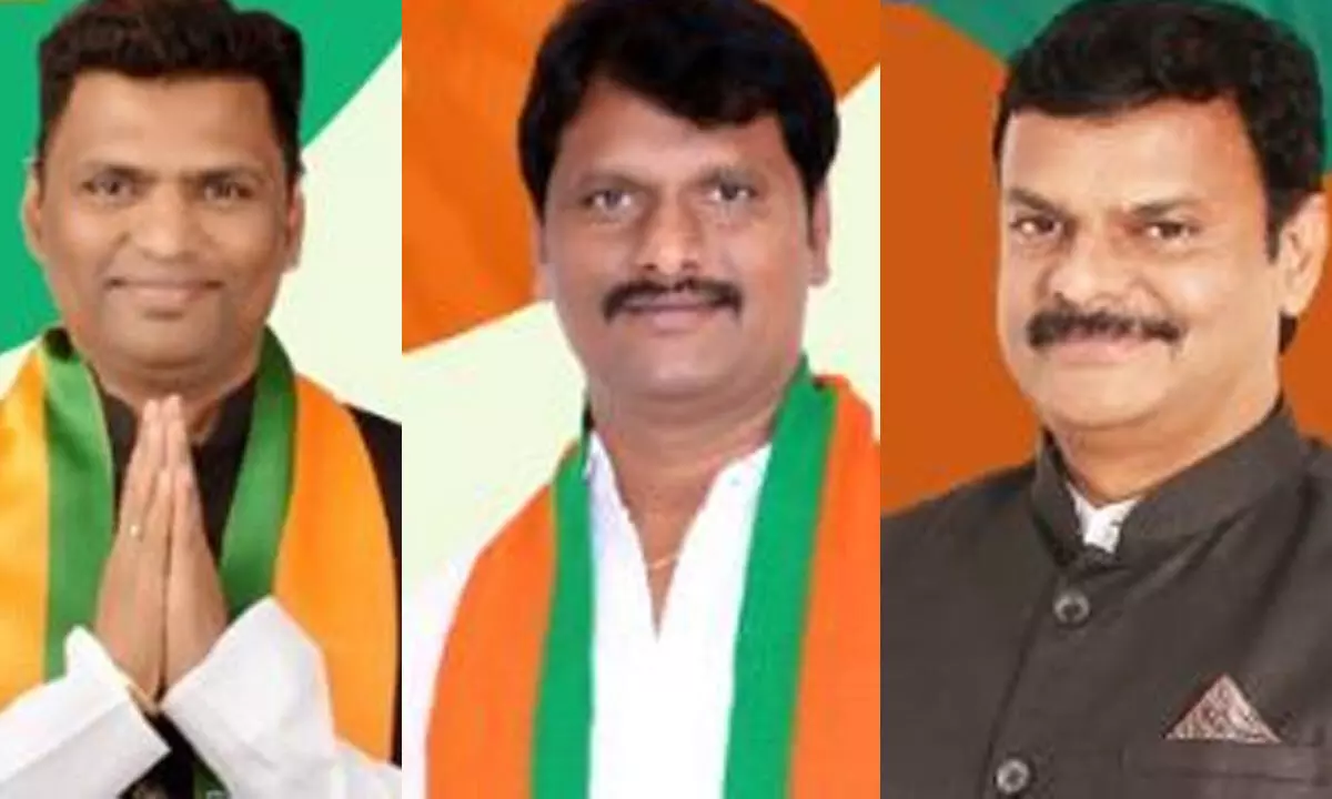 N Raghavendra, S Dayakar Reddy and P V N Madhav