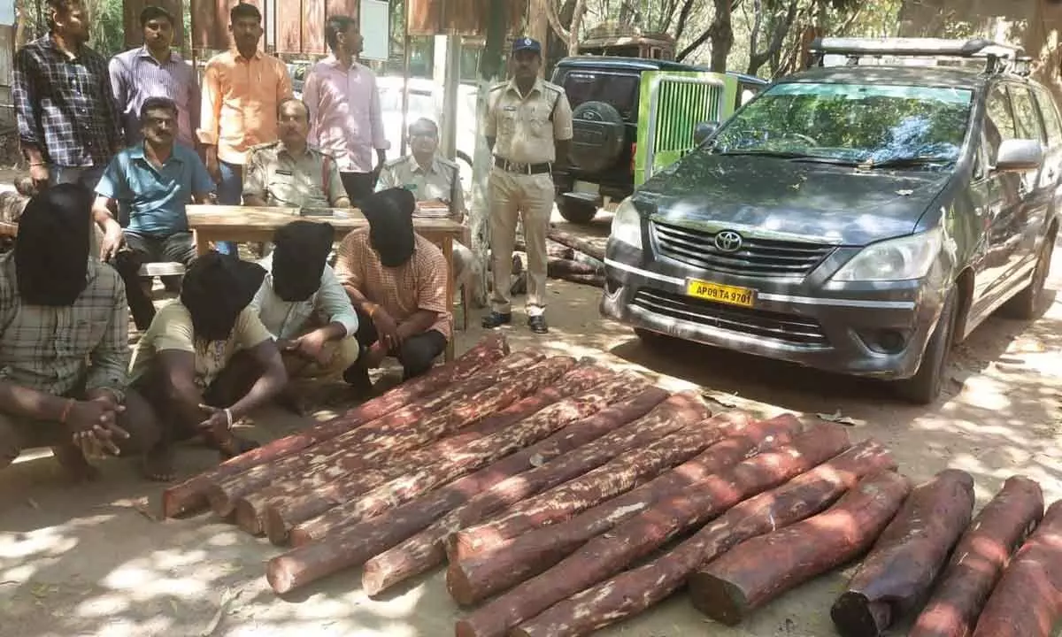 The accused held by the Task Force police and the seized red sanders logs