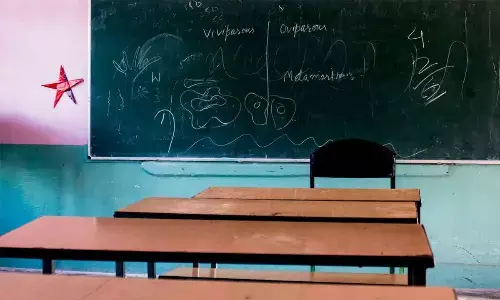 Education dept to reform process of applications for new schools