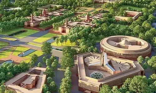 Nod for tree transplantation for Central Vista