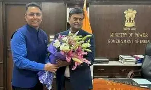 Punjab seeks Centres indulgence in biomass power projects