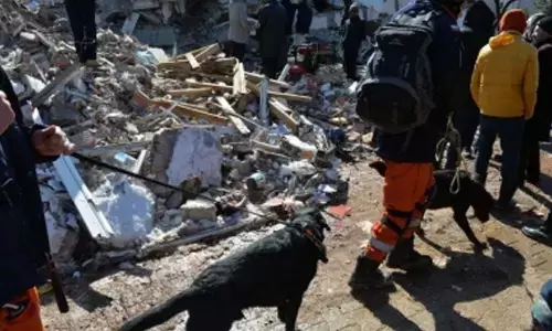 Death toll in Turkey-Syria quake surpasses 41,000