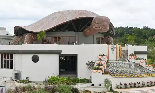 More people seeking Naturopathic doctors over conventional ones