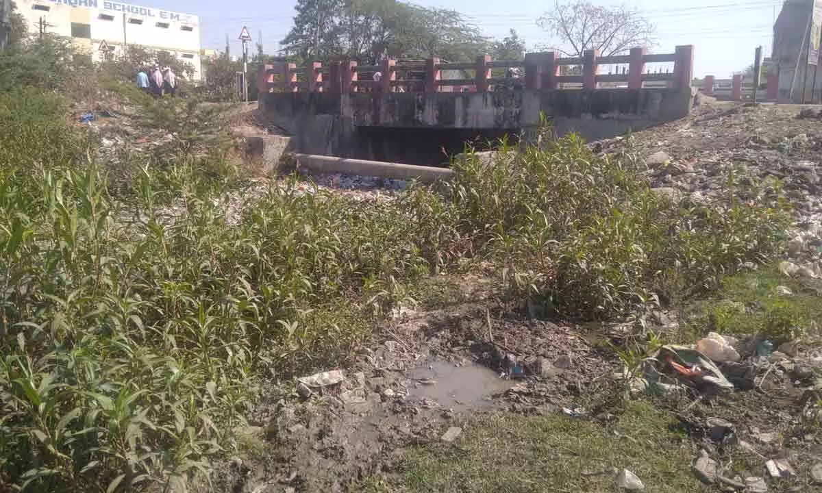 Drainage water polluting Khanapur cheruvu