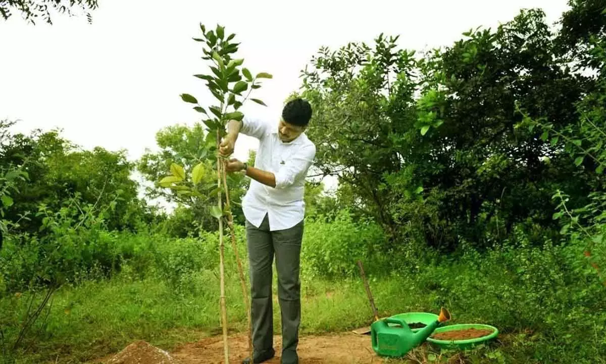 BRS MP Santosh adopts 1000 acres in Kondagattu for forest development
