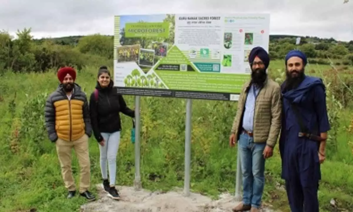 Irish Sikh activists to plant 10,000 trees for war-torn Ukraine